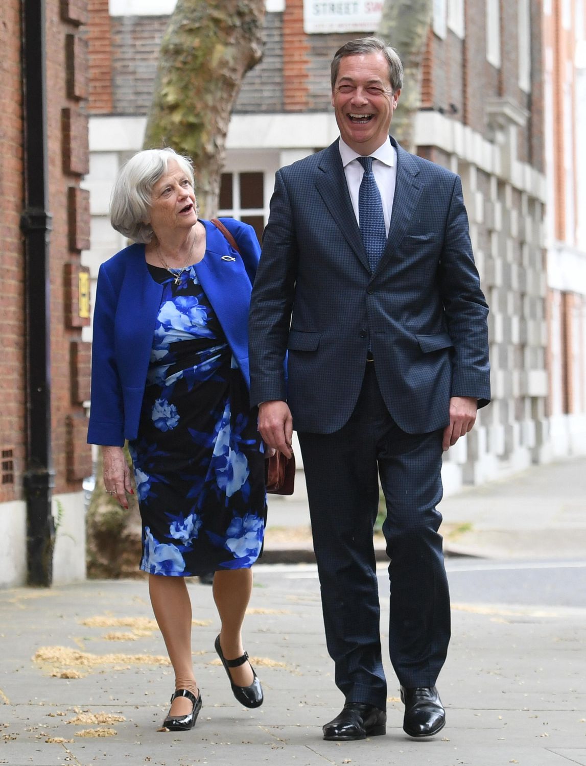 Widdecombe Farage walk